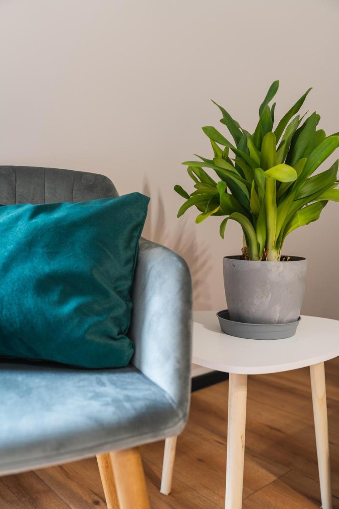 Apartament Przy Baszcie - Z Prywatnym Parkingiem W Centrum - By Spaceapart Jelenia Góra Exteriör bild